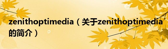 zenithoptimedia（关于zenithoptimedia的简介）