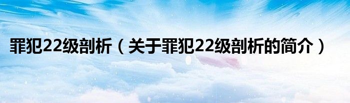 罪犯22级剖析（关于罪犯22级剖析的简介）