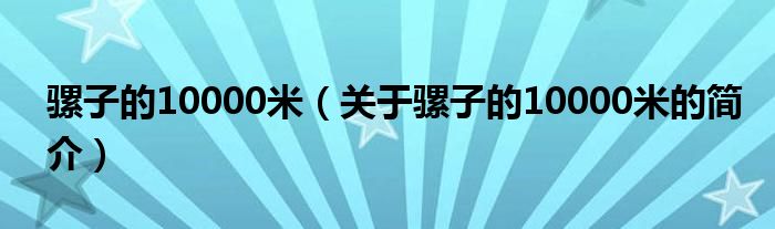 骡子的10000米（关于骡子的10000米的简介）