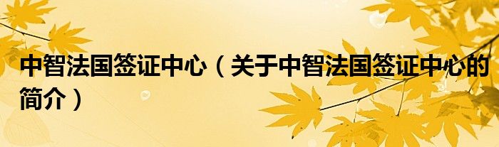 中智法国签证中心（关于中智法国签证中心的简介）