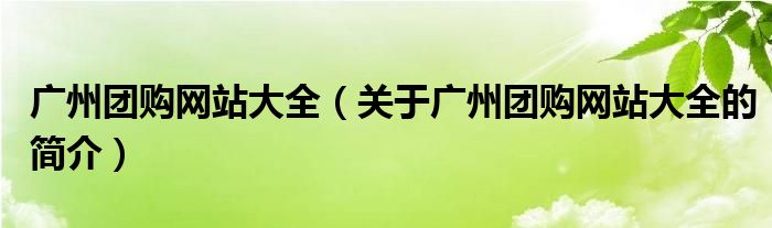 广州团购网站大全（关于广州团购网站大全的简介）