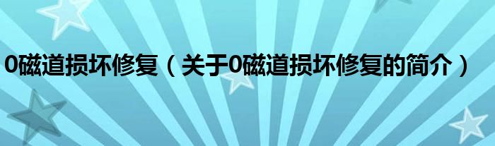 0磁道损坏修复（关于0磁道损坏修复的简介）