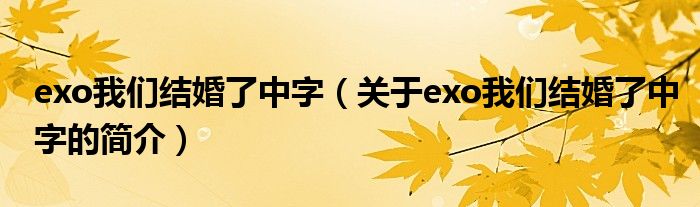 exo我们结婚了中字（关于exo我们结婚了中字的简介）