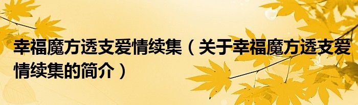 幸福魔方透支爱情续集（关于幸福魔方透支爱情续集的简介）