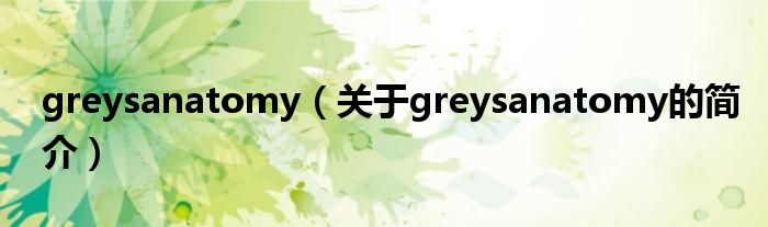 greysanatomy（关于greysanatomy的简介）