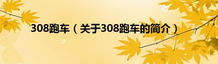 308跑车（关于308跑车的简介）