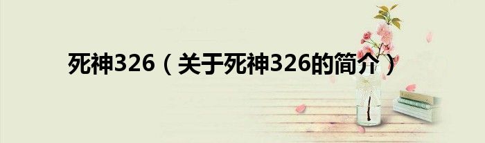 死神326（关于死神326的简介）