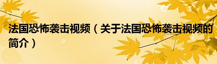 法国恐怖袭击视频（关于法国恐怖袭击视频的简介）