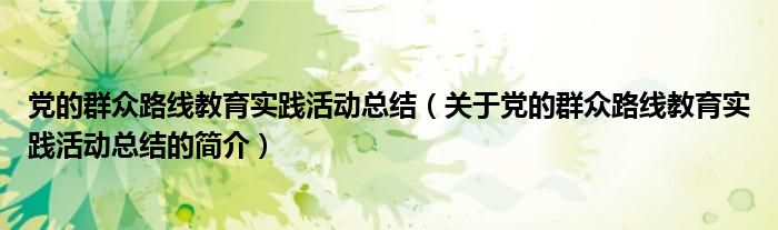 党的群众路线教育实践活动总结（关于党的群众路线教育实践活动总结的简介）