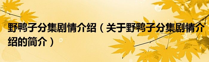 野鸭子分集剧情介绍（关于野鸭子分集剧情介绍的简介）