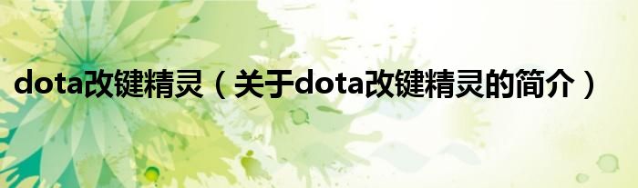 dota改键精灵（关于dota改键精灵的简介）