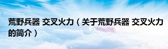 荒野兵器 交叉火力（关于荒野兵器 交叉火力的简介）