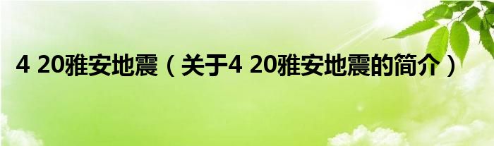 4 20雅安地震（关于4 20雅安地震的简介）