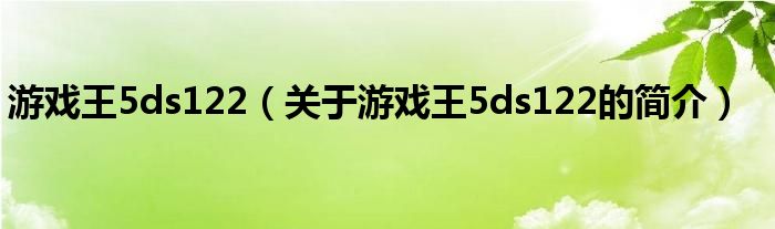 游戏王5ds122（关于游戏王5ds122的简介）