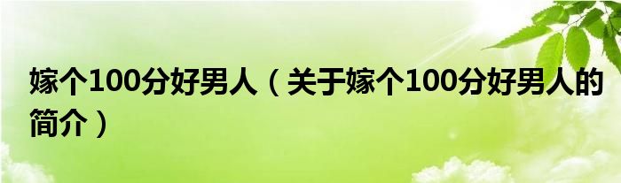 嫁个100分好男人（关于嫁个100分好男人的简介）