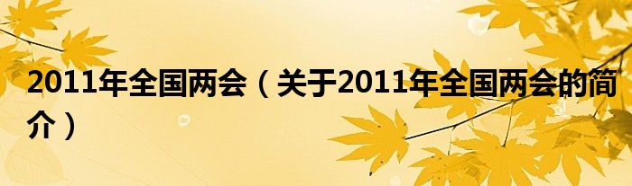 2011年全国两会（关于2011年全国两会的简介）