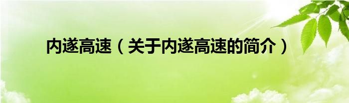 内遂高速（关于内遂高速的简介）