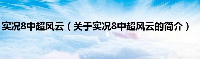 实况8中超风云（关于实况8中超风云的简介）