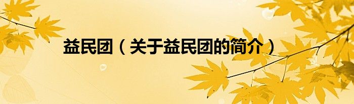 益民团（关于益民团的简介）