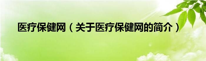 医疗保健网（关于医疗保健网的简介）