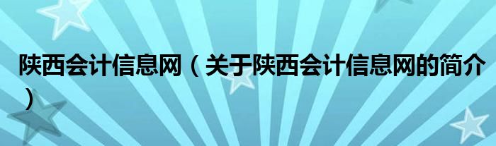 陕西会计信息网（关于陕西会计信息网的简介）