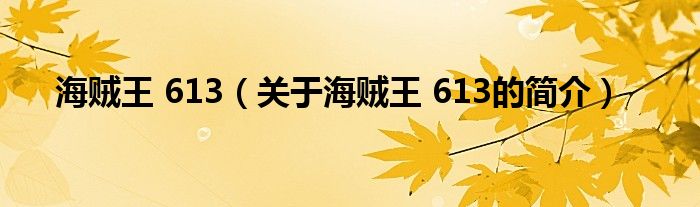 海贼王 613（关于海贼王 613的简介）