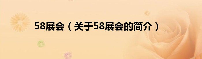 58展会（关于58展会的简介）