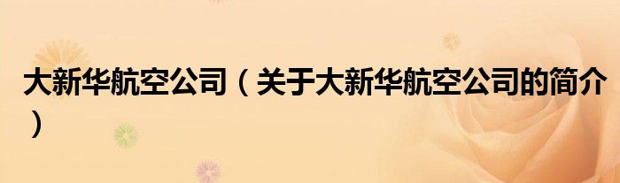 大新华航空公司（关于大新华航空公司的简介）