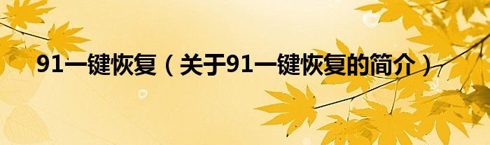 91一键恢复（关于91一键恢复的简介）