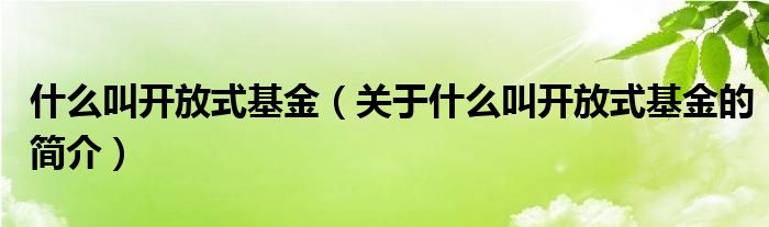 什么叫开放式基金（关于什么叫开放式基金的简介）