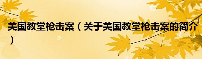 美国教堂枪击案（关于美国教堂枪击案的简介）