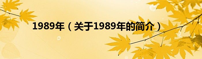 1989年（关于1989年的简介）