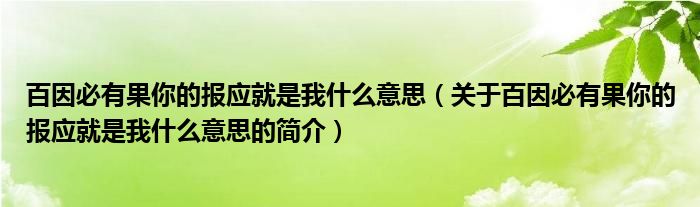 百因必有果你的报应就是我什么意思（关于百因必有果你的报应就是我什么意思的简介）