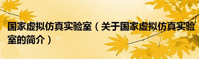 国家虚拟仿真实验室（关于国家虚拟仿真实验室的简介）