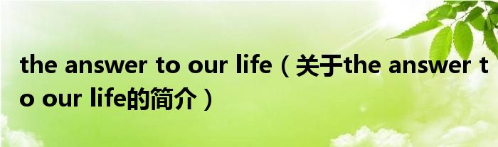 the answer to our life（关于the answer to our life的简介）