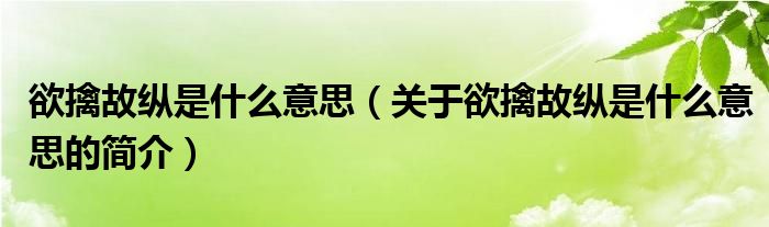 欲擒故纵是什么意思（关于欲擒故纵是什么意思的简介）