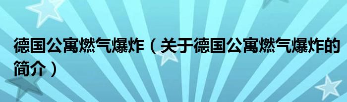 德国公寓燃气爆炸（关于德国公寓燃气爆炸的简介）