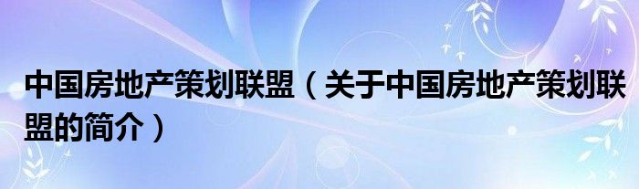 中国房地产策划联盟（关于中国房地产策划联盟的简介）