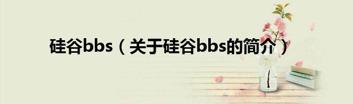 硅谷bbs（关于硅谷bbs的简介）