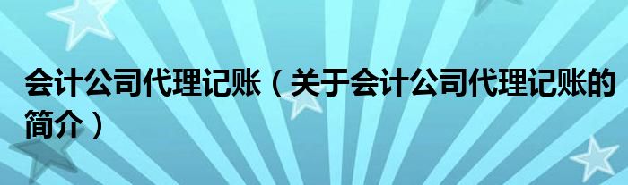 会计公司代理记账（关于会计公司代理记账的简介）