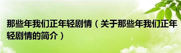 那些年我们正年轻剧情（关于那些年我们正年轻剧情的简介）