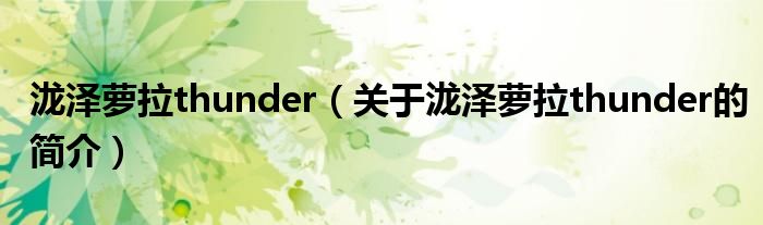 泷泽萝拉thunder（关于泷泽萝拉thunder的简介）