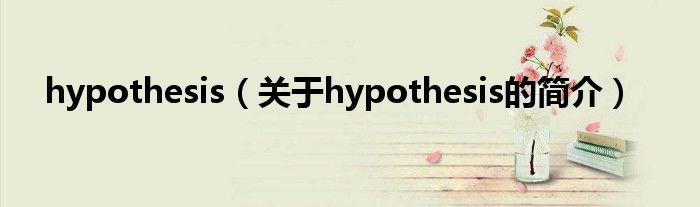 hypothesis（关于hypothesis的简介）