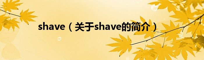 shave（关于shave的简介）