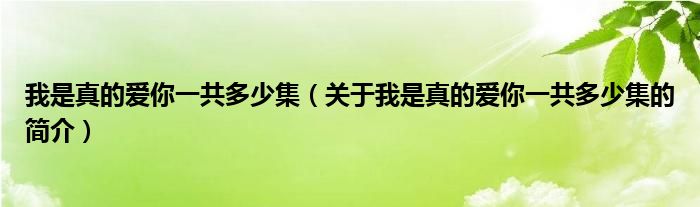 我是真的爱你一共多少集（关于我是真的爱你一共多少集的简介）