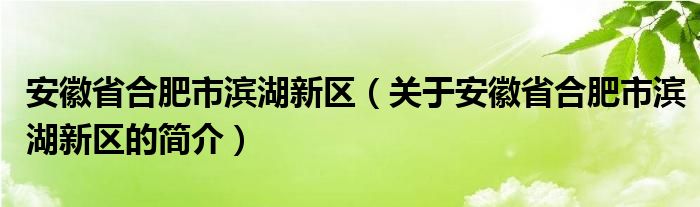 安徽省合肥市滨湖新区（关于安徽省合肥市滨湖新区的简介）