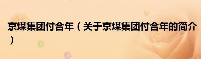 京煤集团付合年（关于京煤集团付合年的简介）