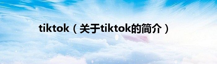 tiktok（关于tiktok的简介）