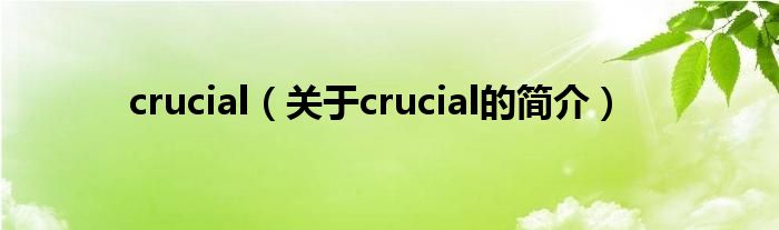 crucial（关于crucial的简介）