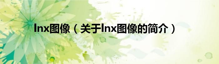 lnx图像（关于lnx图像的简介）